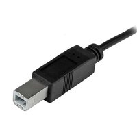 startech--b-c-1-m-usb-cable