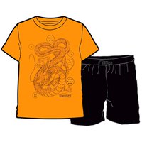 toei-animation-dragon-ball-z-shenron-schlafanzug