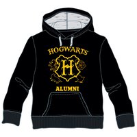 Warner bros Hoodie Harry Potter Hogwarts Alumini