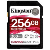 kingston-minneskort-sdr2-256gb-256gb