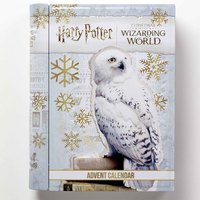 The carat shop Harry Potter Advent Calendar