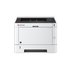 Kyocera Ecosys P2040DW Printer