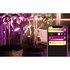 Philips hue Luz Lilly Ambiance