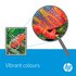 HP 303 Photo Pack Ink Cartrige