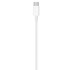 Apple Till Lightning-kabel USB-C 1 M