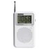 Daewoo AM/FM 디지털 라디오 DRP-115