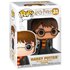 Funko POP Harry Potter Harry With Hedwig Exclusive Figure