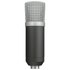 Trust GXT 252 Emita Microphone