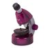 Levenhuk Microscopio Digital LabZZ M101