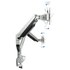 Tooq 13-27´´ Double Arm For Monitor