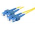 Assmann SM SC SC OS2 09/125 Fiber Optic Cable 2 m